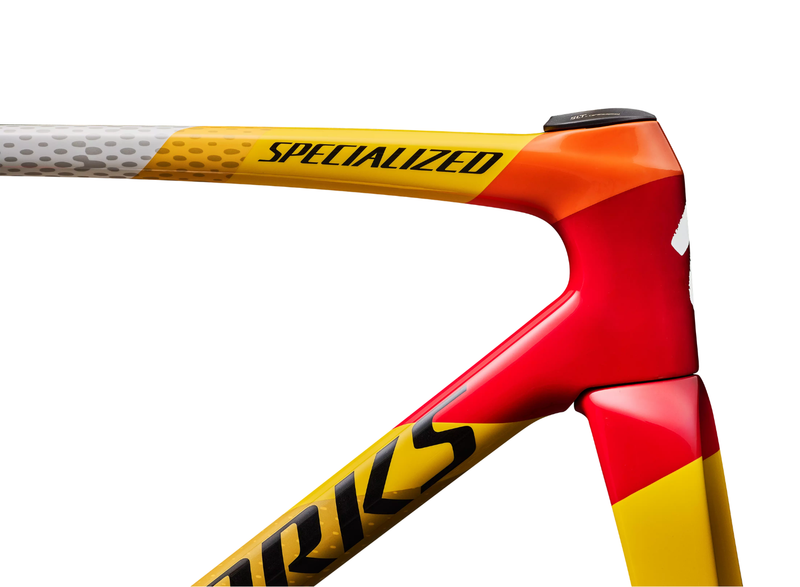 S-Works Tarmac SL9 Team Replica Frameset – SD Worx - Protime