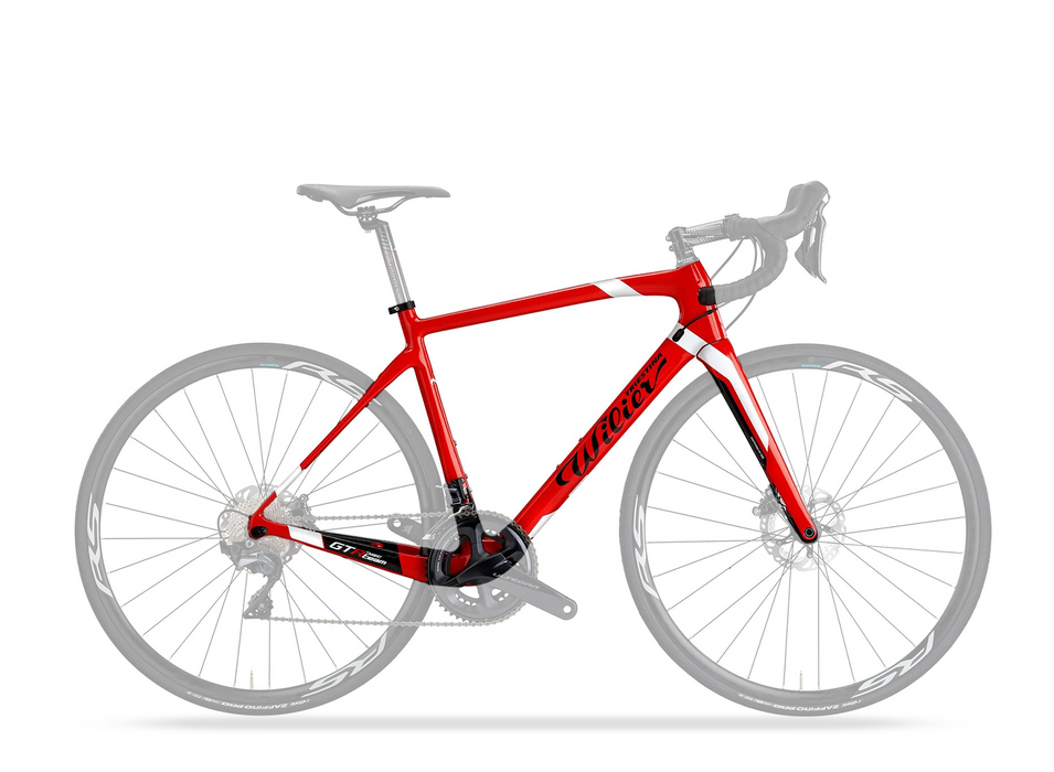 Wilier GTR Team  DISC Frameset